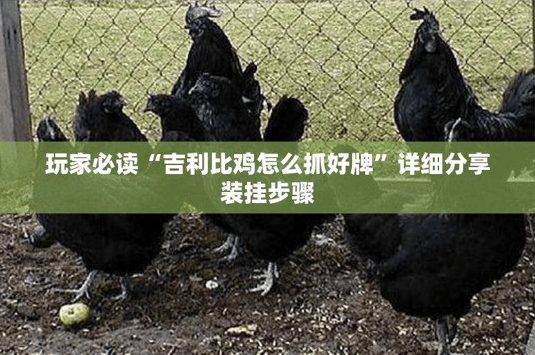 玩家必读“吉利比鸡怎么抓好牌”详细分享装挂步骤