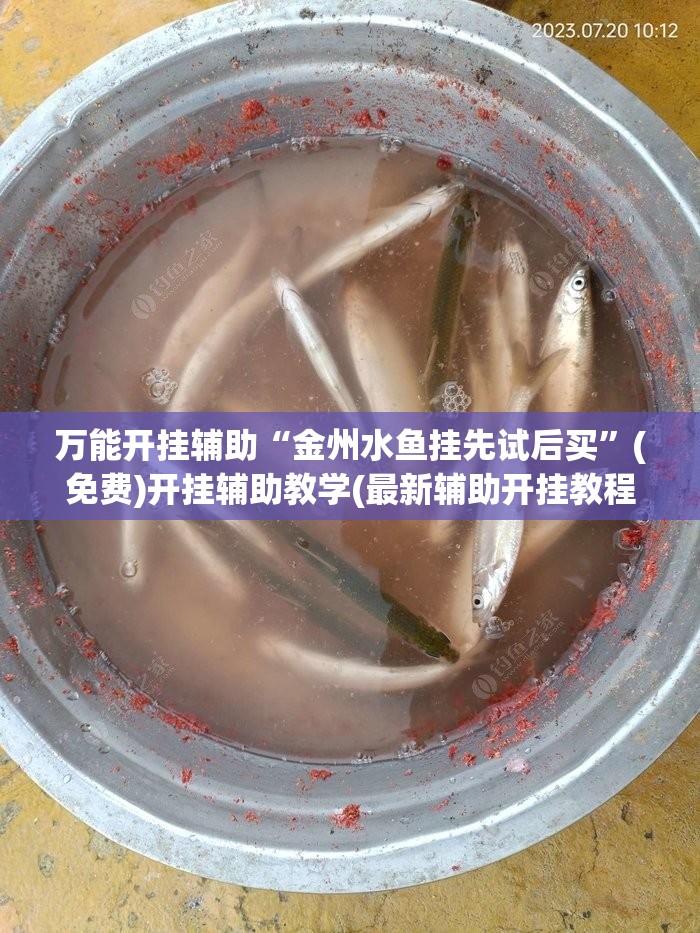 万能开挂辅助“金州水鱼挂先试后买”(免费)开挂辅助教学(最新辅助开挂教程)