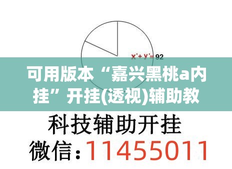 可用版本“嘉兴黑桃a内挂”开挂(透视)辅助教程