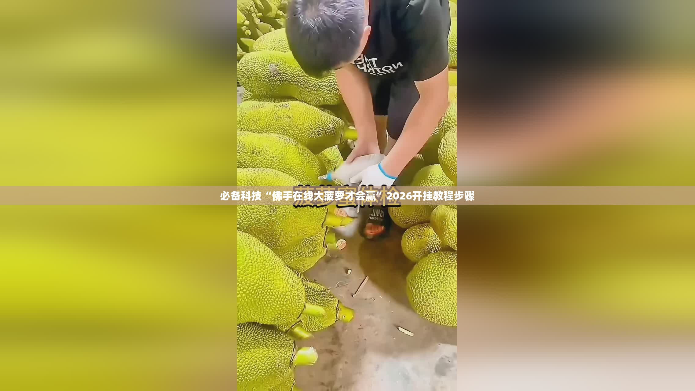 必备科技“佛手在线大菠萝才会赢”2026开挂教程步骤