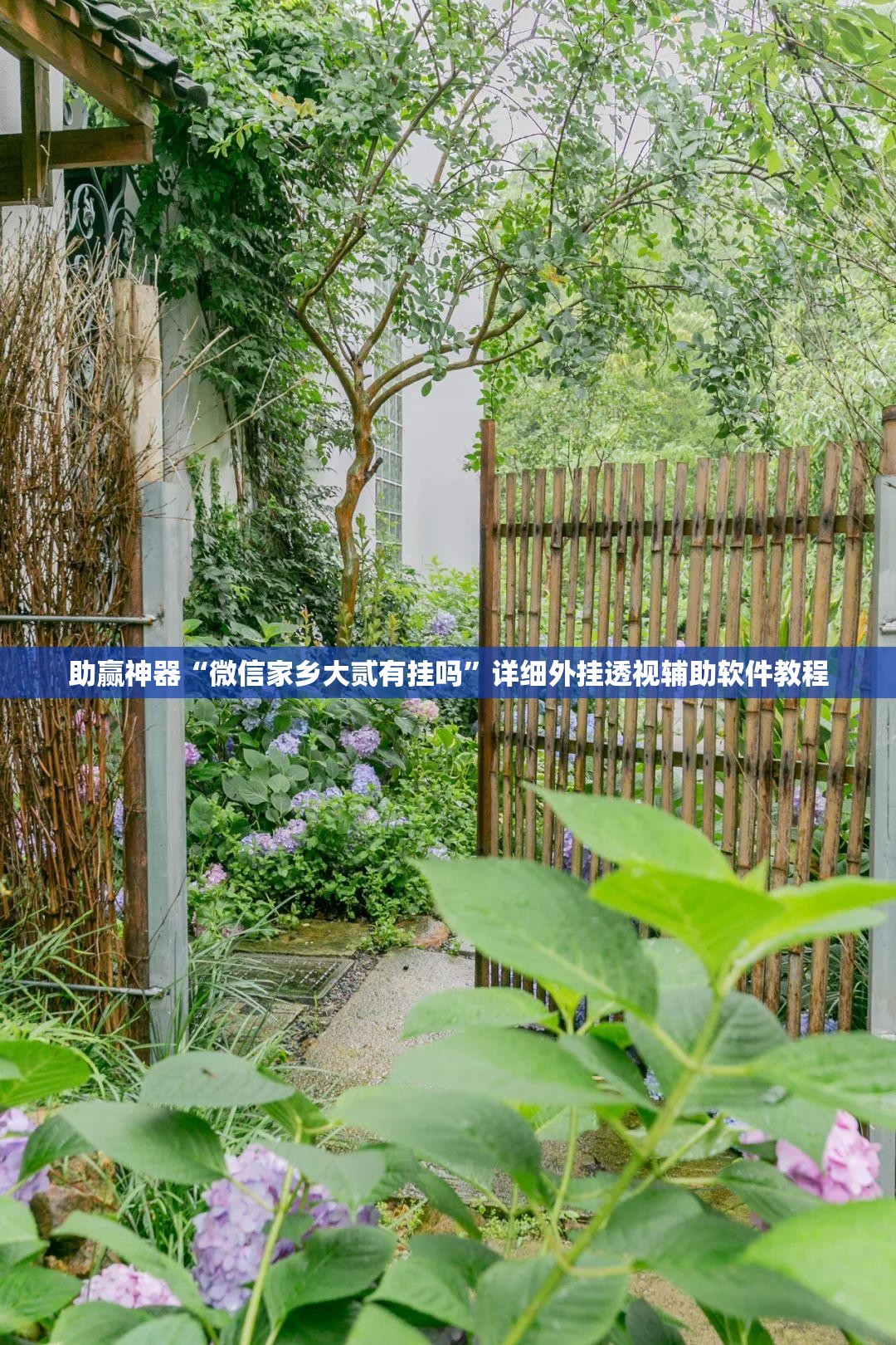 助赢神器“微信家乡大贰有挂吗	”详细外挂透视辅助软件教程