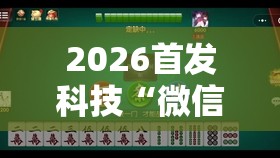 2026首发科技“微信小程序微乐保皇开挂辅助器通用版”开挂辅助脚本+详细开挂安装教程