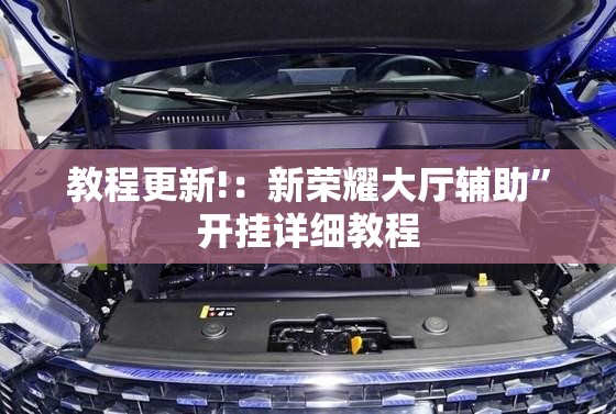 教程更新!：新荣耀大厅辅助	”开挂详细教程
