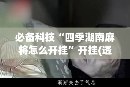 必备科技“四季湖南麻将怎么开挂”开挂(透视)辅助神器