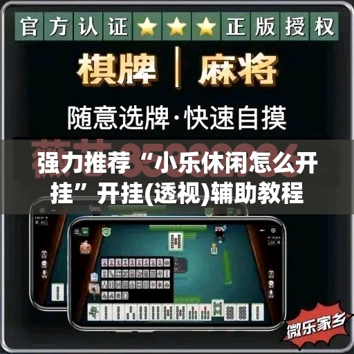 强力推荐“小乐休闲怎么开挂	”开挂(透视)辅助教程