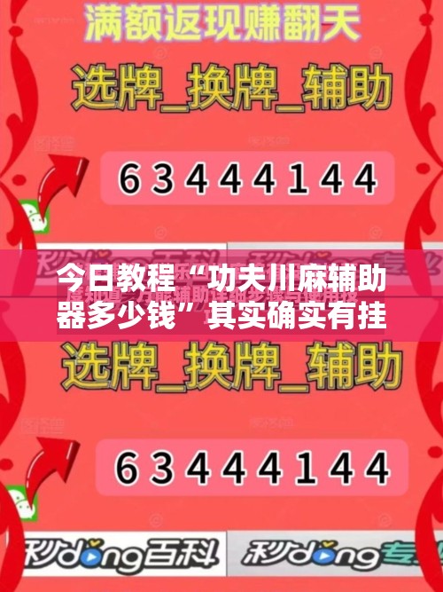 今日教程“功夫川麻辅助器多少钱”其实确实有挂