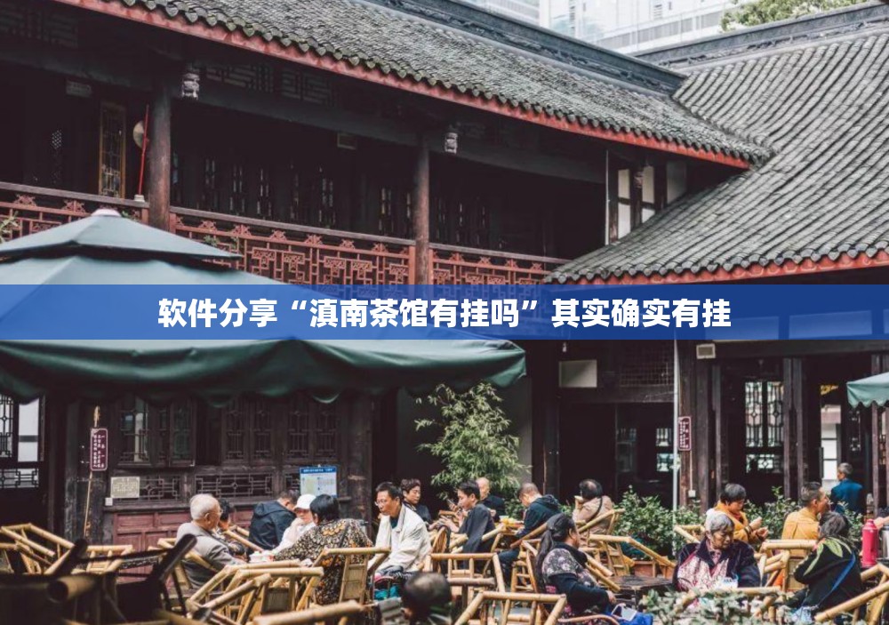 软件分享“滇南茶馆有挂吗”其实确实有挂