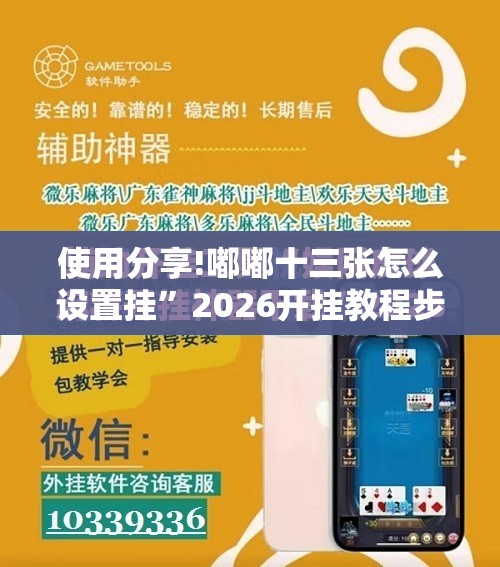 使用分享!嘟嘟十三张怎么设置挂”2026开挂教程步骤