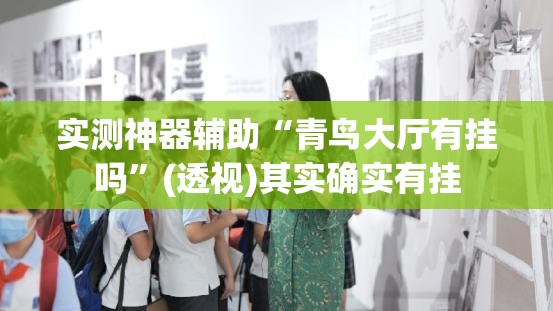 实测神器辅助“青鸟大厅有挂吗”(透视)其实确实有挂