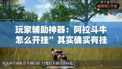 玩家辅助神器：阿拉斗牛怎么开挂”其实确实有挂