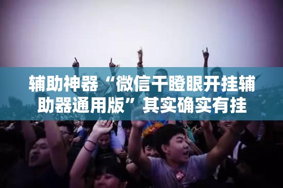 辅助神器“微信干瞪眼开挂辅助器通用版”其实确实有挂