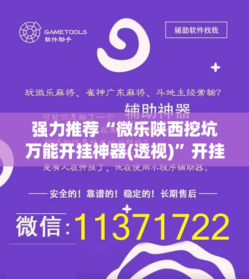强力推荐“微乐陕西挖坑万能开挂神器(透视)”开挂辅助脚本+详细开挂安装教程