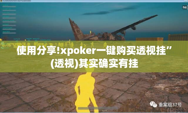 使用分享!xpoker一键购买透视挂”(透视)其实确实有挂