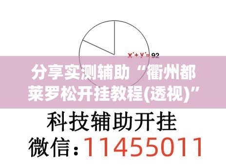分享实测辅助“衢州都莱罗松开挂教程(透视)”开挂辅助脚本+详细开挂安装教程