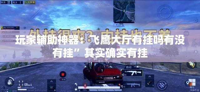 玩家辅助神器：飞鹰大厅有挂吗有没有挂”其实确实有挂