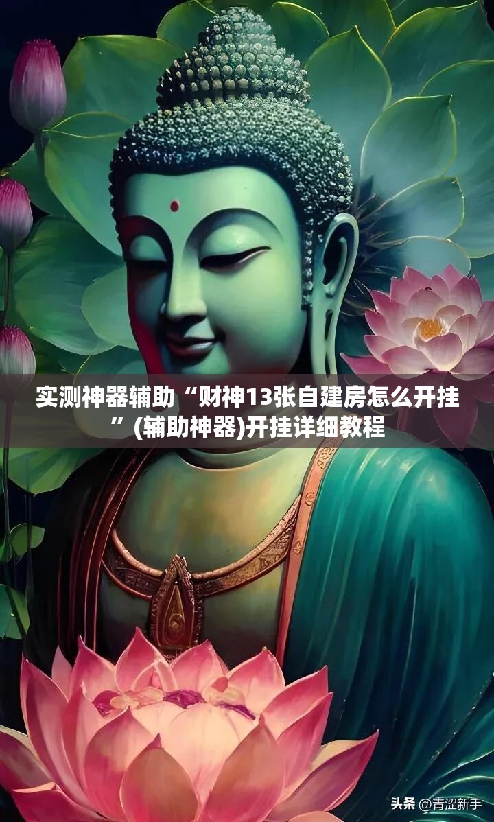 实测神器辅助“财神13张自建房怎么开挂”(辅助神器)开挂详细教程