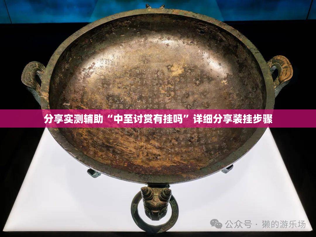 分享实测辅助“中至讨赏有挂吗	”详细分享装挂步骤