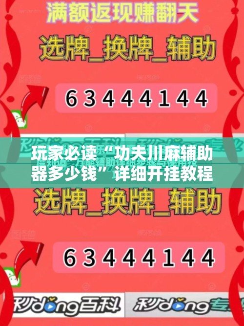 玩家必读“功夫川麻辅助器多少钱”详细开挂教程