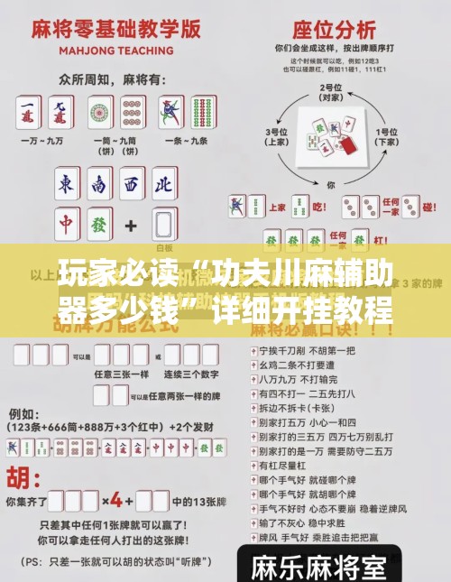 玩家必读“功夫川麻辅助器多少钱”详细开挂教程