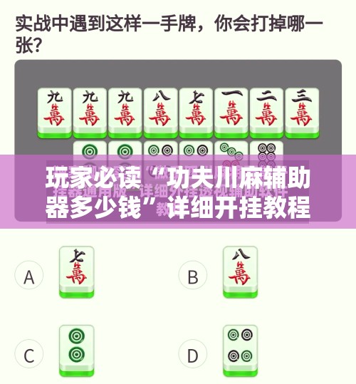 玩家必读“功夫川麻辅助器多少钱”详细开挂教程