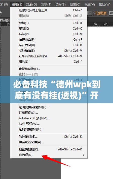 必备科技“德州wpk到底有没有挂(透视)	”开挂辅助脚本+详细开挂安装教程