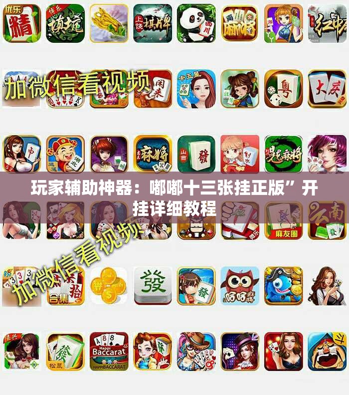 玩家辅助神器：嘟嘟十三张挂正版”开挂详细教程