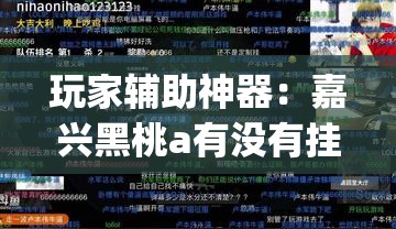 玩家辅助神器：嘉兴黑桃a有没有挂(透视)”开挂辅助脚本+详细开挂安装教程