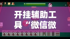 开挂辅助工具“微信微乐跑得快有挂吗”开挂详细教程