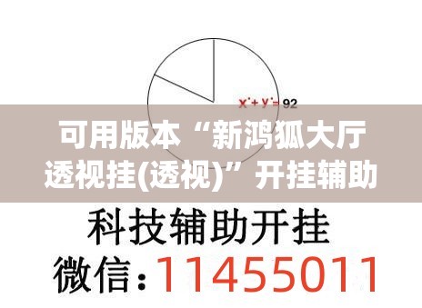 可用版本“新鸿狐大厅透视挂(透视)”开挂辅助脚本+详细开挂安装教程