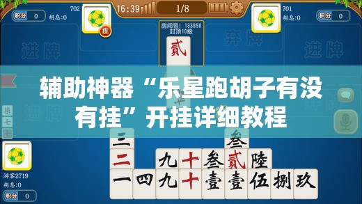 辅助神器“乐星跑胡子有没有挂”开挂详细教程